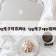 pg电子可靠网址（pg电子app官网）